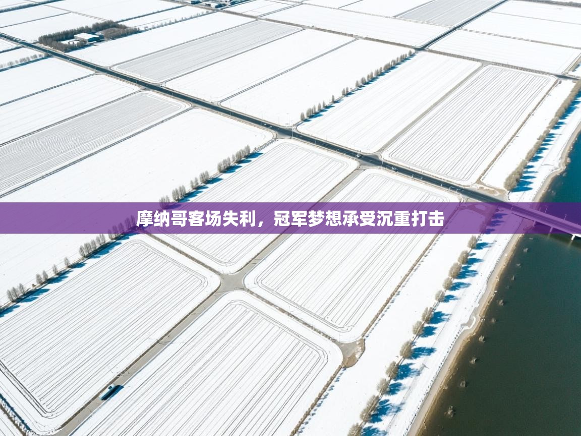 摩纳哥客场失利，冠军梦想承受沉重打击  第1张