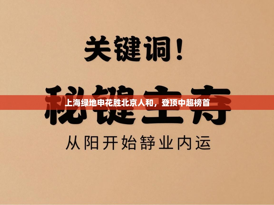 上海绿地申花胜北京人和，登顶中超榜首  第1张