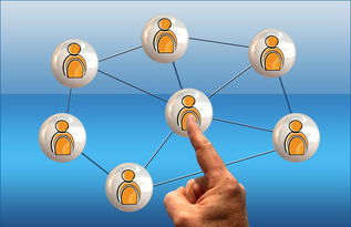 九游体育官网-体育新闻中心参与高校体育传媒课程共建，体育新闻与管理系  第2张